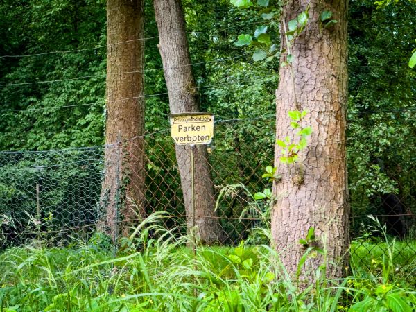 Fotor&uuml;ckblick: 51. L&uuml;bbenauer Kahnkorso 2025 